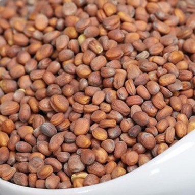La bạc tử khô thượng hạng JINDO 1kg tác dụng hỗ trợ đàm, ho thông thường
