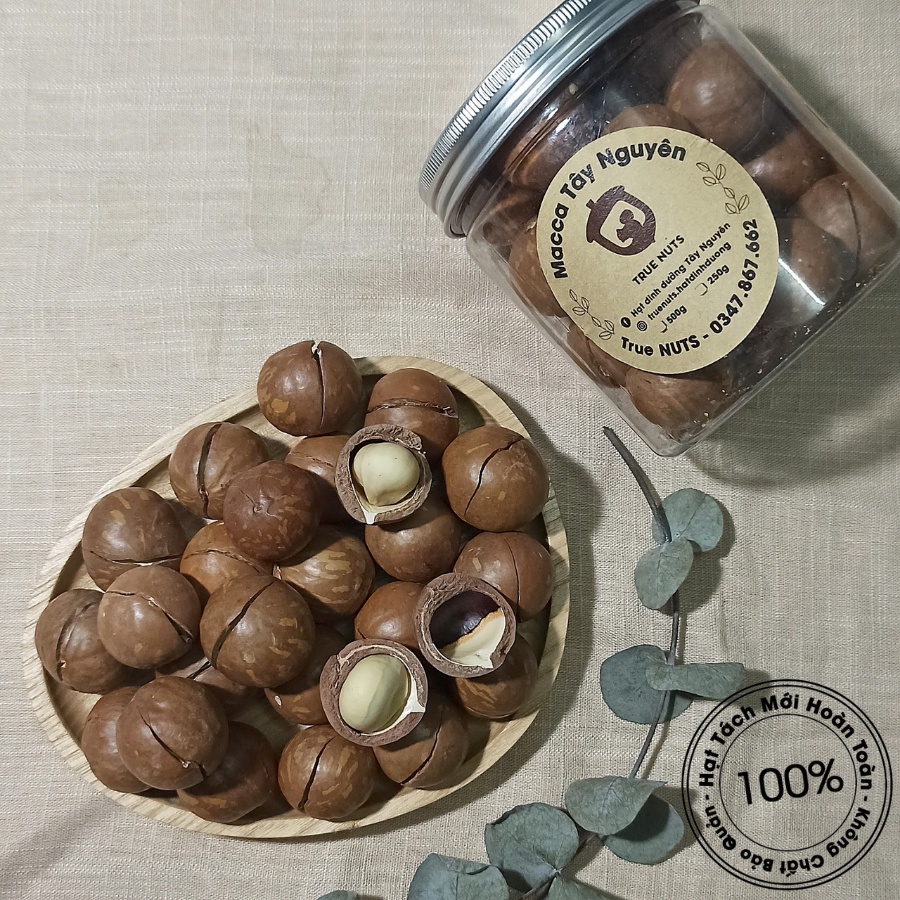 Macca Tây Nguyên - Mắc ca Đaklak nứt vỏ không hôi dầu (hộp 250g ...