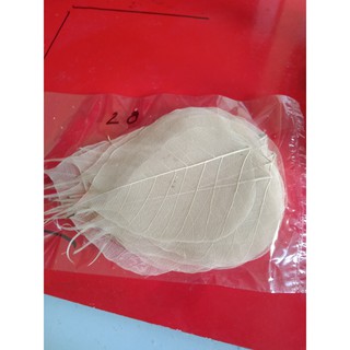 [sz đt] Set 10 xương lá bồ đề tự nhiên size vừa điện thoại