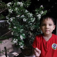 hanguyen.08