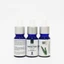 Tinh Dầu Hương Thảo NEOP 10mL - Rosemary Essential Oil
