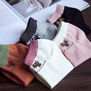COMBO 5 ĐÔI TẤT MIU NỮ XITEEN BC_CHIC LINGERIE