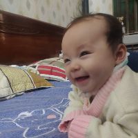 lamdung6686