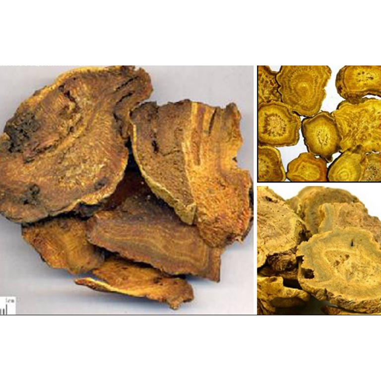 Đại hoàng khô thượng hạng JINDO 1kg tác dụng hỗ trợ thanh tràng, thông tiện, trục ứ thông kinh