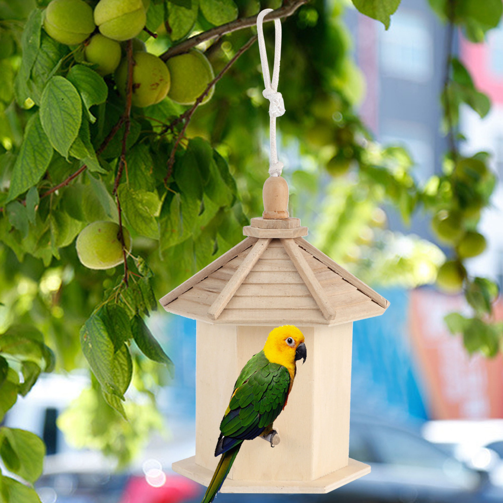 Chuồng Nuôi Chim Bằng Gỗ Làm Vườn Lồng Nuôi Chim Ấm Áp Ngoài Trời, Cho Budgerigar Myna-168