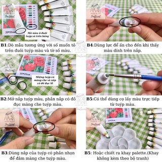 Tranh tô màu theo số Hoa Mini Mới Size 20x20cm căng khung sẵn