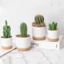 Chậu trồng cây mọng nước nhỏ POP Hoa nhựa gốm giả