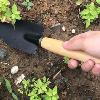 Dụng cụ làm vườn mini 3 món tiện dụng, Dụng cụ trồng cây