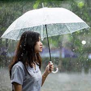 Ô trong suốt gấp gọn che mưa thời trang tiện lợi🍀FREESHIP🍀Dù trong suốt cao cấp chắn chắn độ bền cao