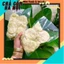 Chả Cốm HN túi 500g