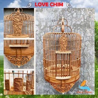 5 em hoạ mi giá rẻ chim bóng bộ đầu mặt cực đẹp, giá từ 1tr800k cho anh em  sưu tầm | Họat Họa Mi - YouTube