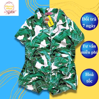 [MẪU HOT] ĐỒ ĐÔI ĐI BIỂN MÙA HÈ ĐỦ MẪU, ĐỦ SIZE TỪ 7kg ĐẾN 100kg