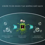 Máy lọc không khí khử mùi ô tô chống say xe, màng lọc HEPA công nghệ ion âm loại bỏ mùi pin năng lượng mặt trời BH 2 năm — ảnh 2