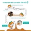 LÕI LỌC NƯỚC VÒI SEN IVY FILTER CHO BÉ - MADE IN KOREA
