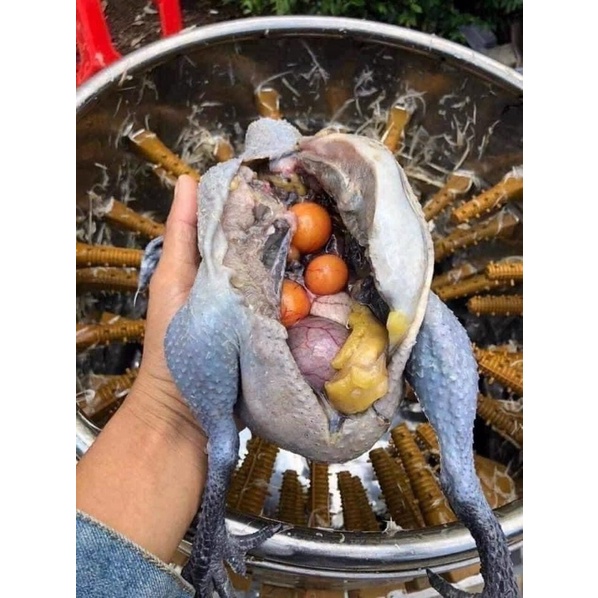 Gà ác ôm trứng ( 1 con 500gr-700gr )
