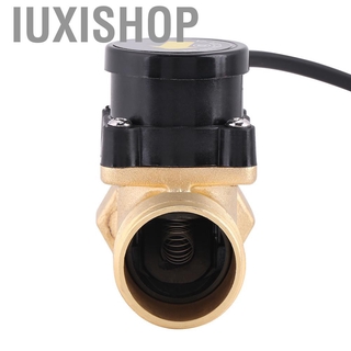[Iuxishop]Công Tắc Cảm Biến Điều Khiển Dòng Chảy Cho Máy Bơm Nước Ixishop Ht-800 G1 220v 200w