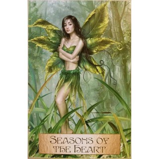Bộ Bài Wisdom of Golden Path (Mystic House Tarot Shop) - Bài Gốc Authentic Chính Hãng 100%