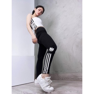 Quần Tập Gym Nữ [Legging] 3D Trefoil Logo 3D Sọc Màu Mới Lạ [ĐỒ TẬP]
