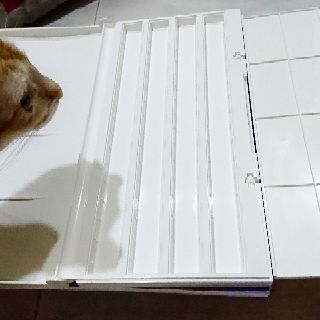 Màu nước Sonnet 16 màu/ 24 màu