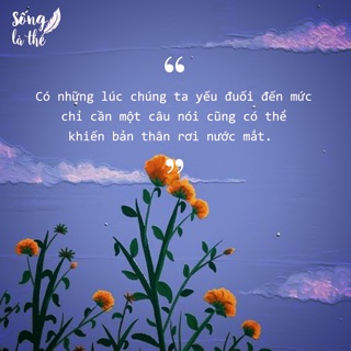 hongngoc1699