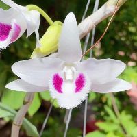 duybinh1982245