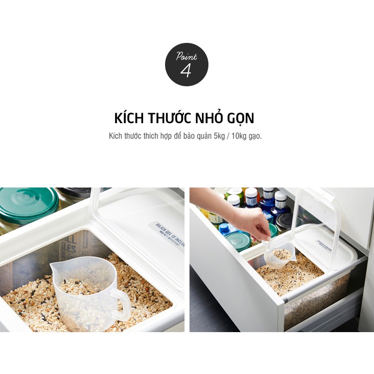 Thùng Gạo Hàn Quốc Có Hút Ẩm, Cốc Đong, Vạch Đo Tiện lợi LocknLock HPL560 5KG HPL561 10KG - K-MALL