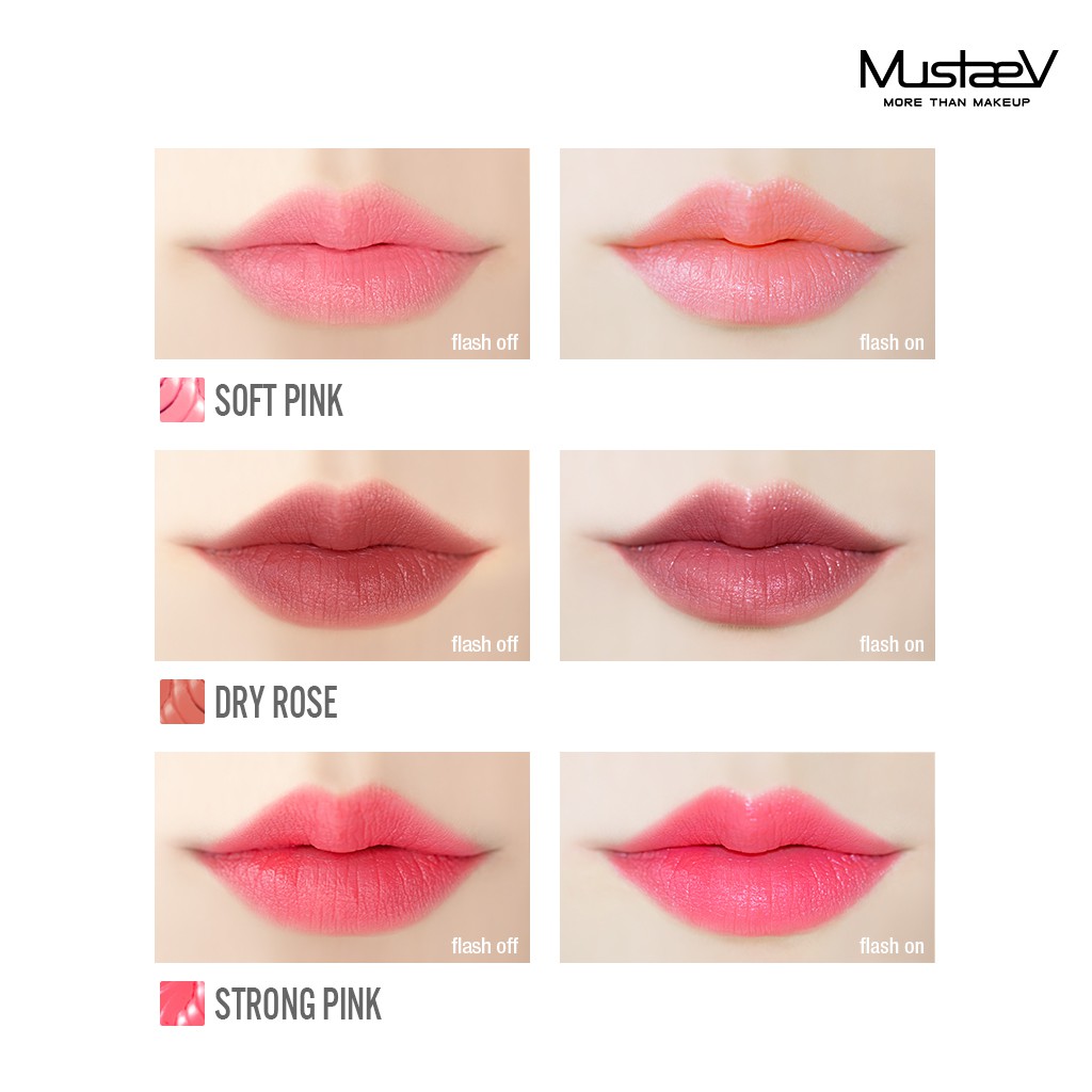Ảnh Mustaev LIP 10 LIP PRO PALETTE (1,5g x 10 màu) 1