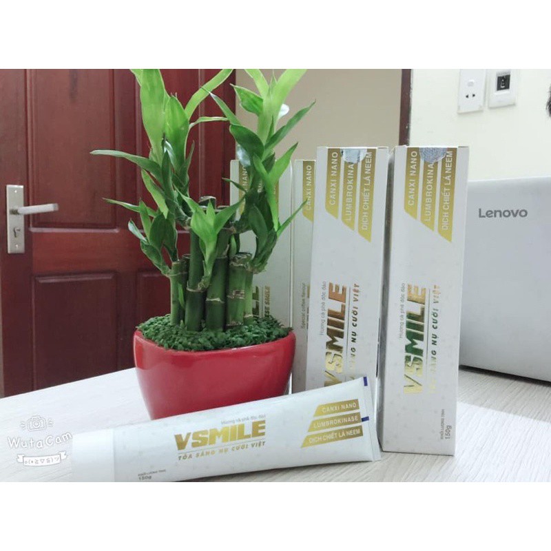 [CHÍNH HÃNG] Kem Đánh Răng Thảo Dược VSMILE / Bảo Vệ Răng Miệng