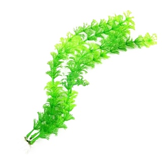 Mô Phỏng Nhựa Nước Cỏ Cây Xanh Sống Động Dưới Nước Cây Bể Cá Cảnh Quan Trang Trí Thủy Sinh Thú Cưng