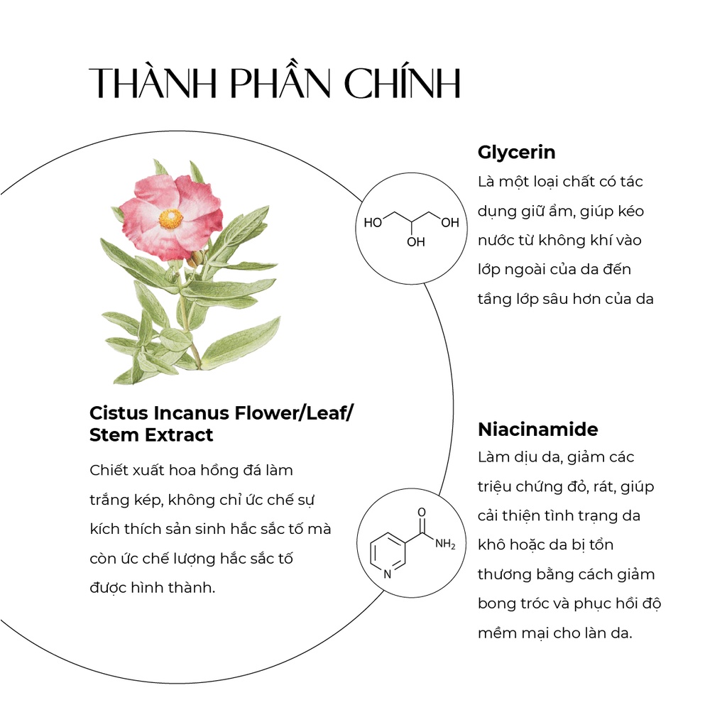 Ảnh Mặt nạ dưỡng trắng da và ngăn ngừa lão hoá Truesky Integrated Mask chiết xuất hoa hồng đá 25g 2