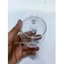 CỐC ĐỂ TRỒNG CÂY THỦY SINH 6CM