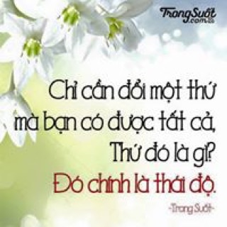 tranlinhchi92