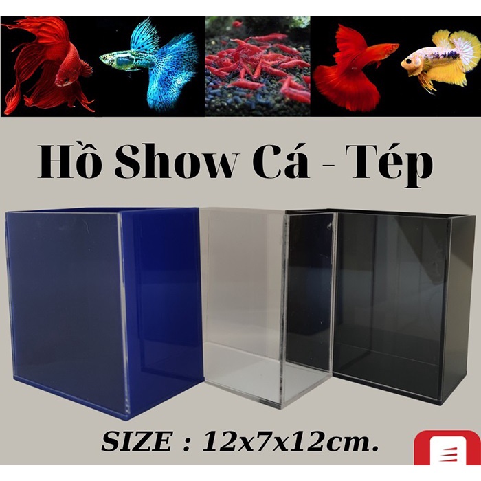 HỒ SHOW CÁ BETTA GUPPY ACRYLIC SIÊU TRONG