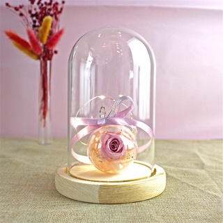 NOOKSTORY Bụi Đèn Cổ Tích Terrarium Để Bàn Terrarium Chai Trong Suốt Bình Thủy Tinh Hoa Hộp Bảo Quản