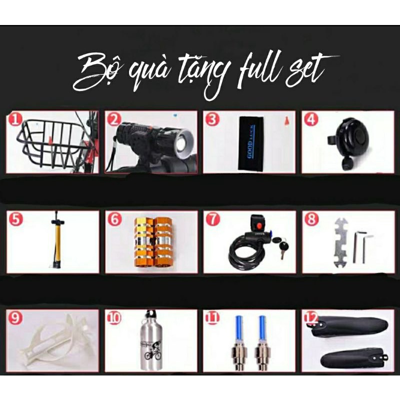XE ĐẠP GẤP 20inh PHOENIX  TON full phụ kiện