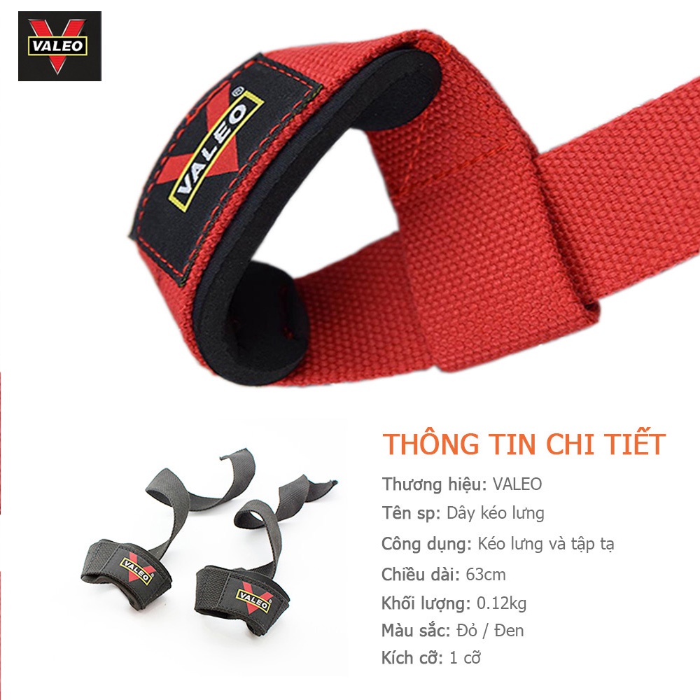 Dây kéo lưng tập GYM cao cấp cực êm - cực bền ( 1 đôi) | BigBuy360 - bigbuy360.vn