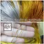 100m dây kim tuyến làm thiệp, trang trí, nguyên liệu Handmade