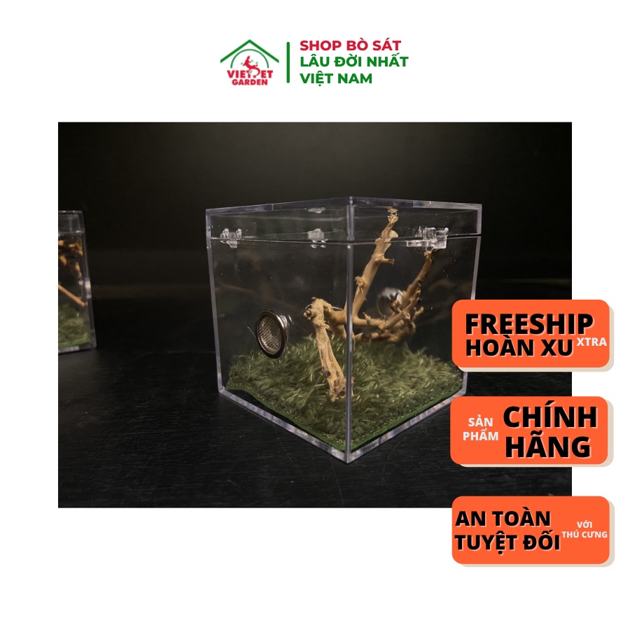 Hộp Mica nuôi nhện, bọ cạp, côn trùng - Full Setup - Vietpetgarden ...