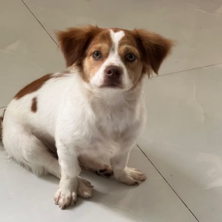 nhihuynh379