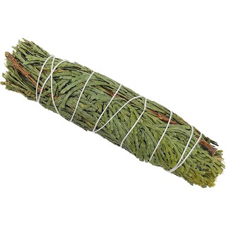 Tuyết Tùng - Cedar (Bó 10-12 cm) (Mystic House Tarot Shop) - Sản Phẩm Authentic Chính Hãng 100%