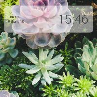 tructhao12a9