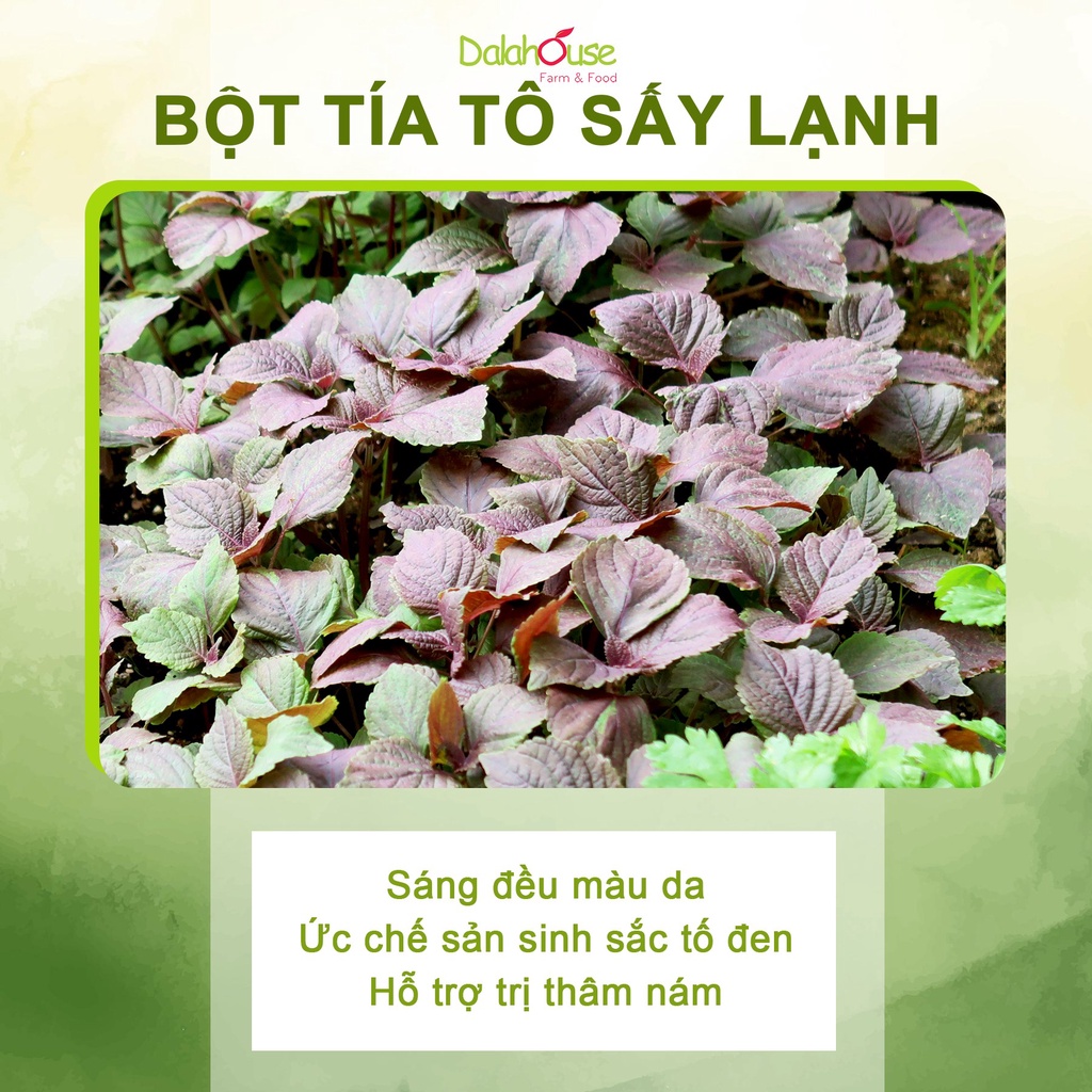 Ảnh Bột tía tô nguyên chất hữu cơ Dalahouse 60g công nghệ sấy lạnh đạt chuẩn Châu Âu 2