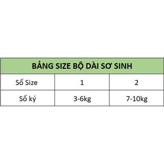 Bộ sơ sinh bé gái cao cấp Bunnybaby bao gồm nón vớ, size 0-3 tháng