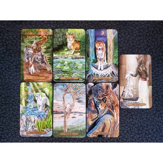 Bộ Bài Magical Dogs Tarot (Mystic House Tarot Shop) - Bài Gốc Authentic Chính Hãng 100%