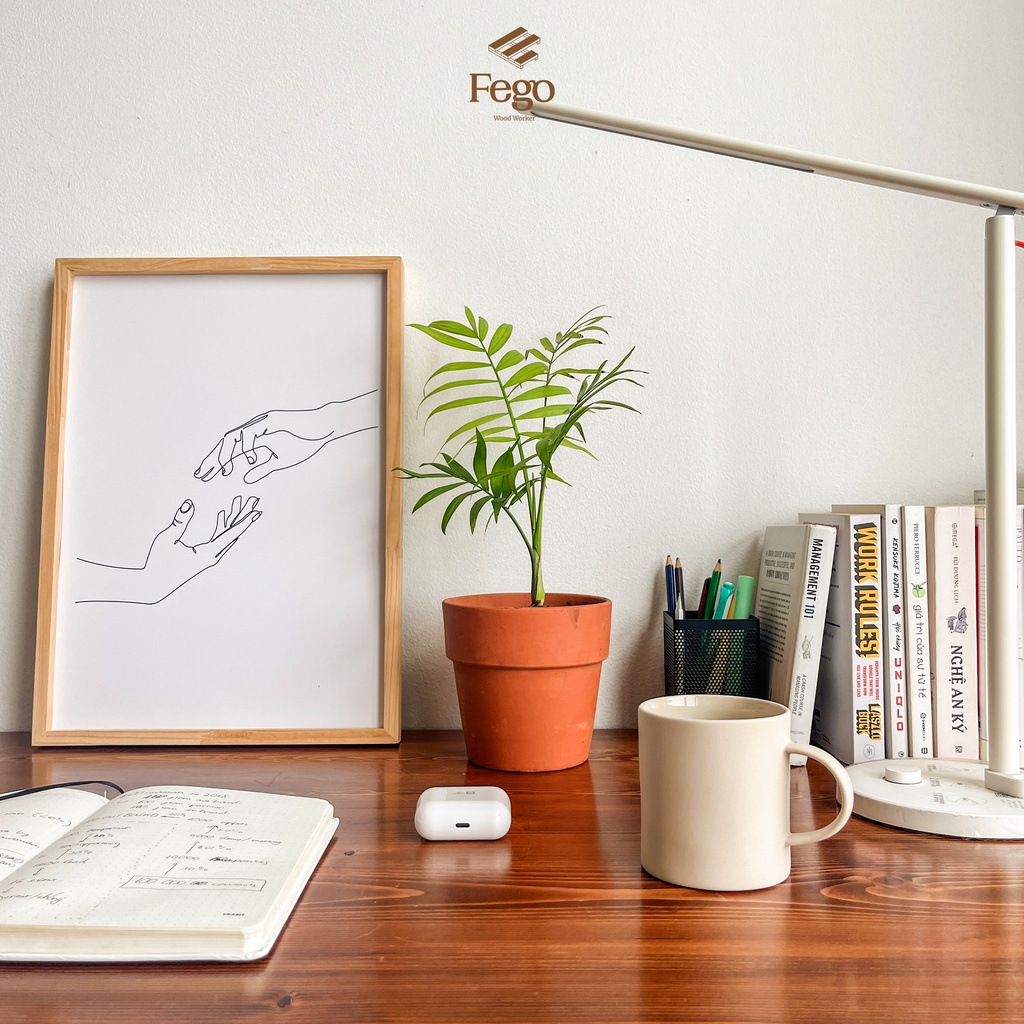 Ảnh Chậu cây đất nung cỡ trung FEGO để trồng cây ban công, bàn làm việc nhiều kích thước 3