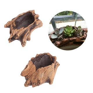 Chậu trồng cây mọng nước bonsai bằng xi măng giả gỗ trang trí đẹp mắt