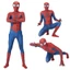 Trang phục người nhện Raimi quyến rũ cho Halloween và chương trình Cosplay với thiết kế toàn thân