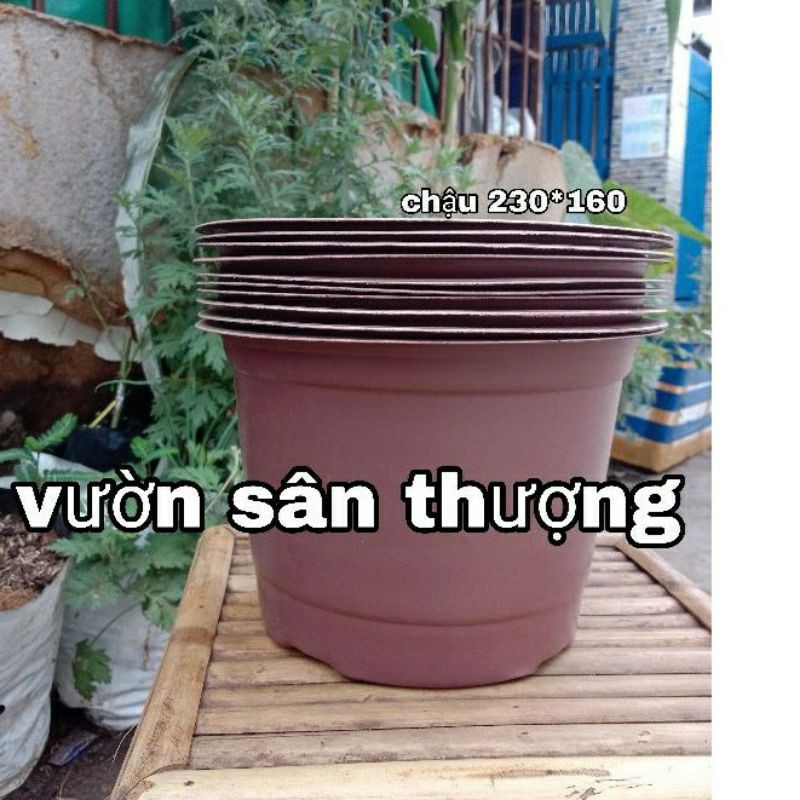 Set 10 Chậu 230x160 mm Thịnh khang, Siêu bền Tái sử Dụng Trên 5 Lần, Sử dụng Trồng Hoa, Ươm Cây, Làm Chậu để Bàn,..