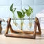 Bình hoa thủy canh YUUKII Trang trí nội thất Cây cảnh Terrarium Để bàn Chậu hoa
