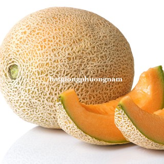 20 Hạt - Hạt Giống  Dưa Lưới Ruột Vàng Phương Nam